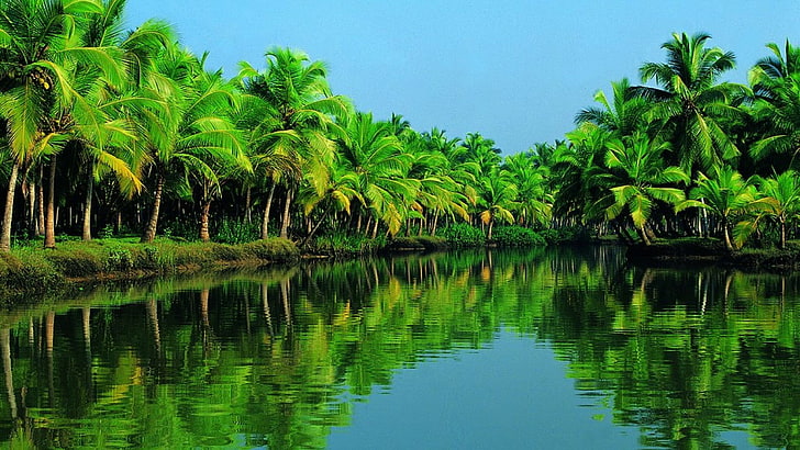 Kerala Bliss: Explore, Relax, and Indulge